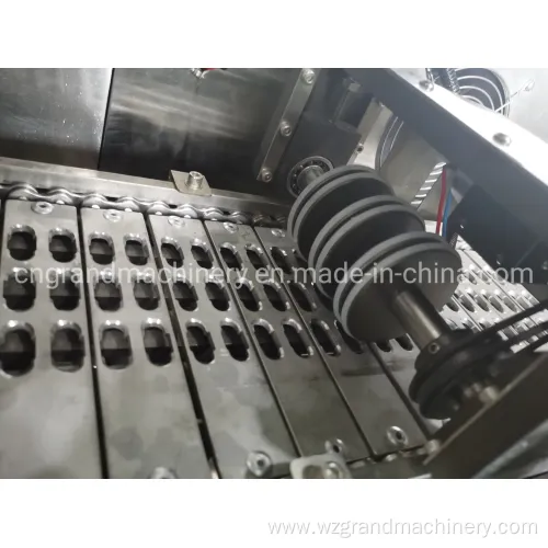 Hard Gelatin Gel Aut Oil Liquid Capsule Making